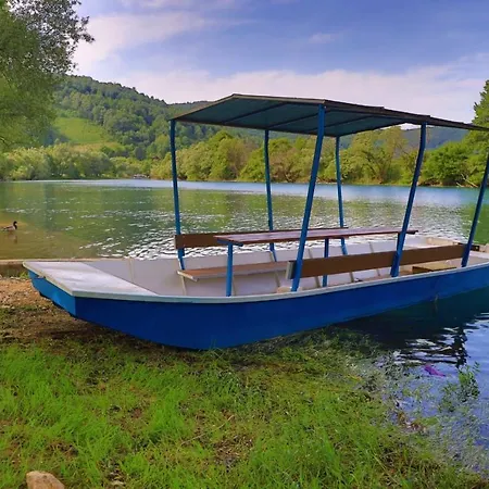 Edy Bihac